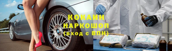 ешки Алексин