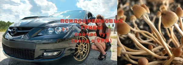 кокс Пересвет