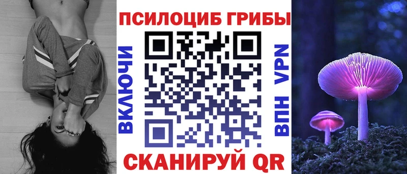 Галлюциногенные грибы прущие грибы  Динская 